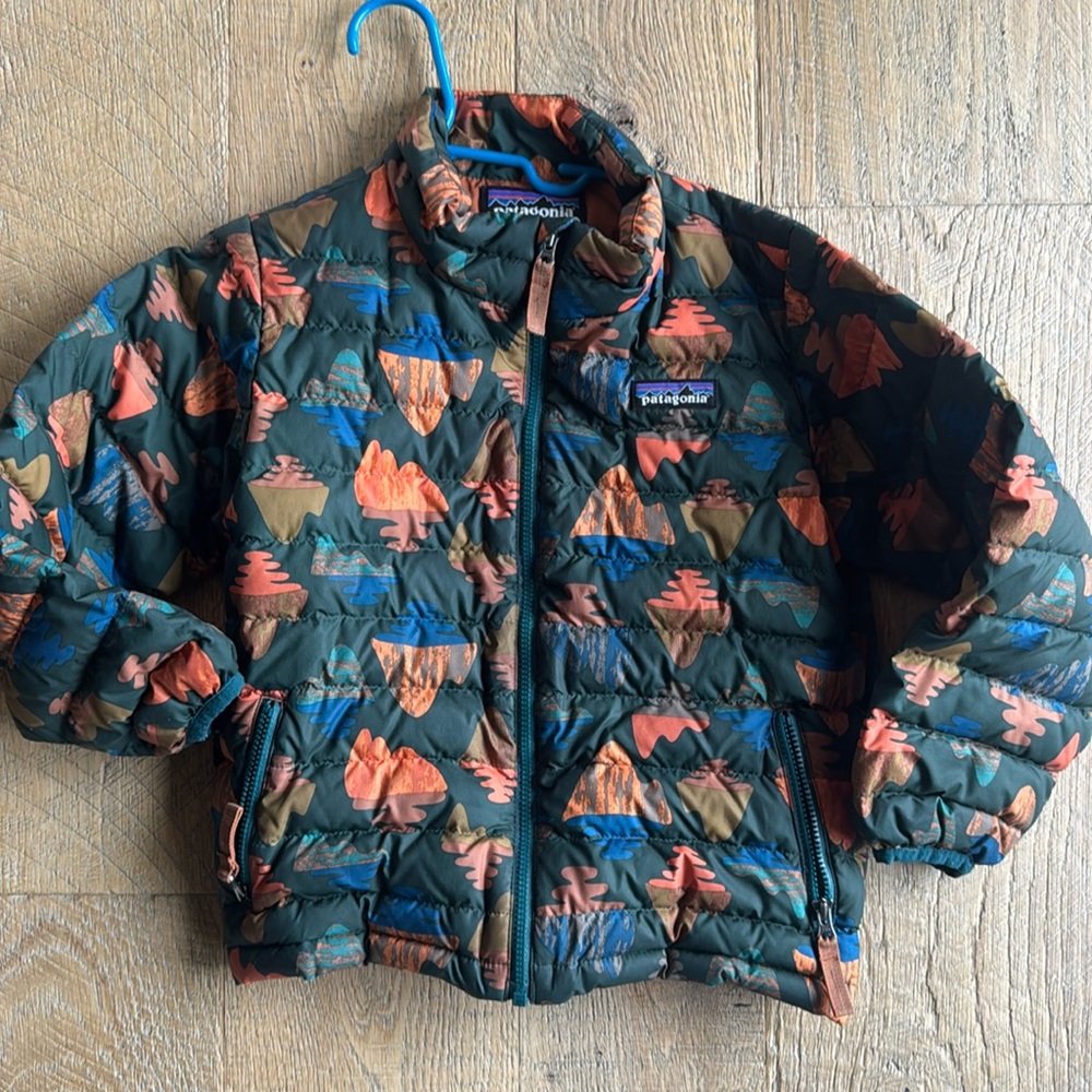 Patagonia Toddler Coat size 4T